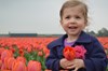 in de tulpen