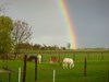 wat een mooie regenboog