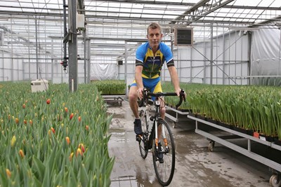 Fotoserie: ‘Modekleuren bepalen vraag naar tulpen’