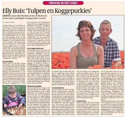 Bloemenkrant